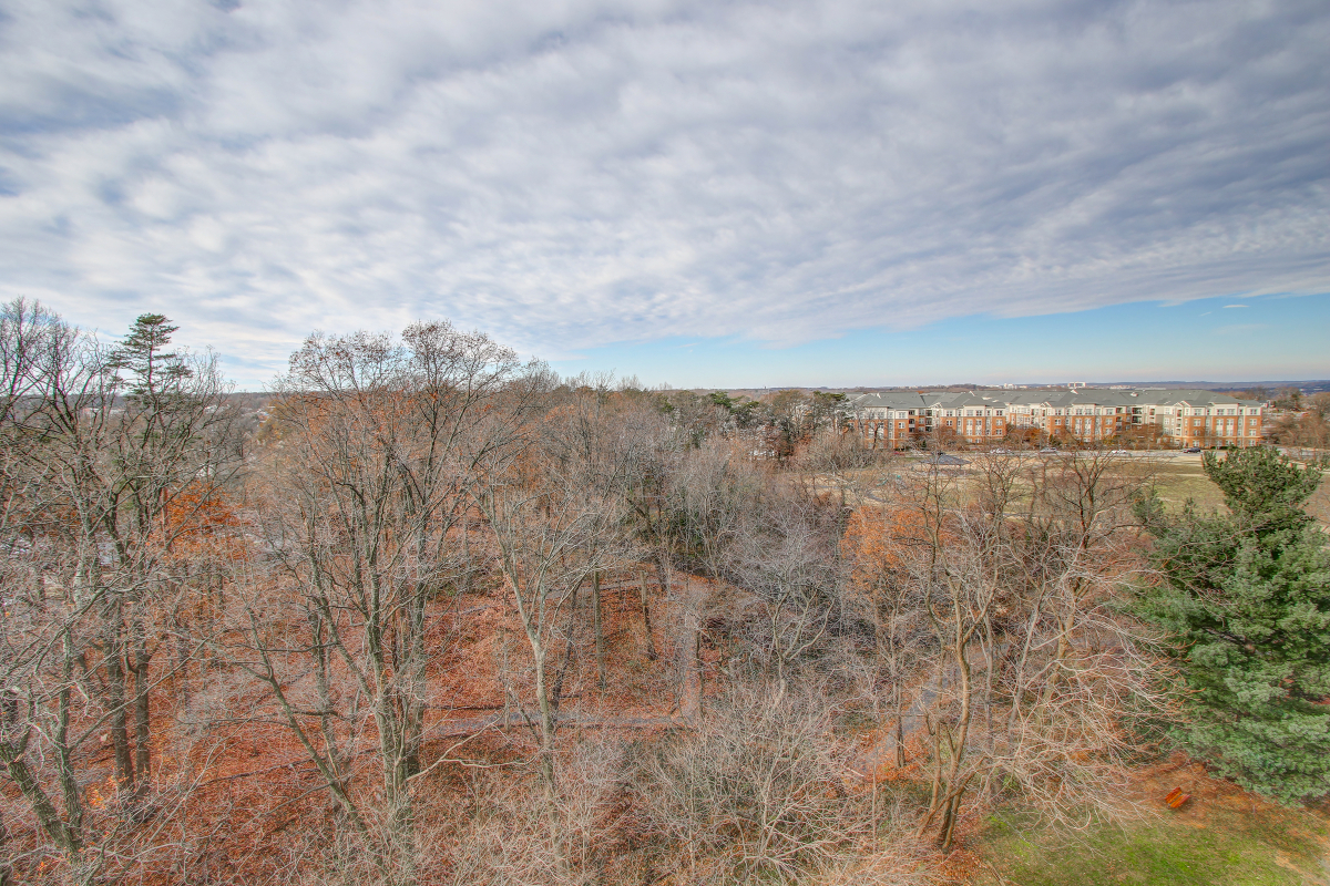 5902 Mount Eagle Drive, Unit 918 Montebello Condominium, Alexandria