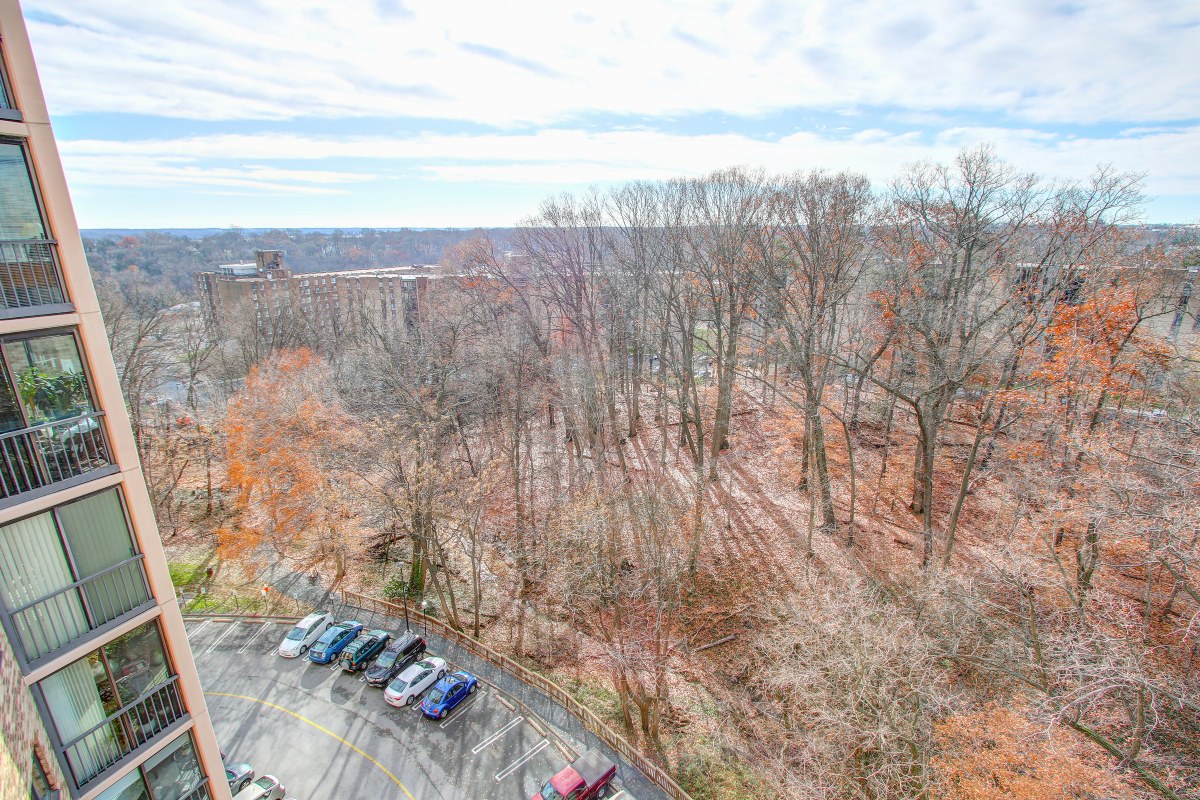 5902 Mount Eagle Drive, Unit 918 Montebello Condominium, Alexandria